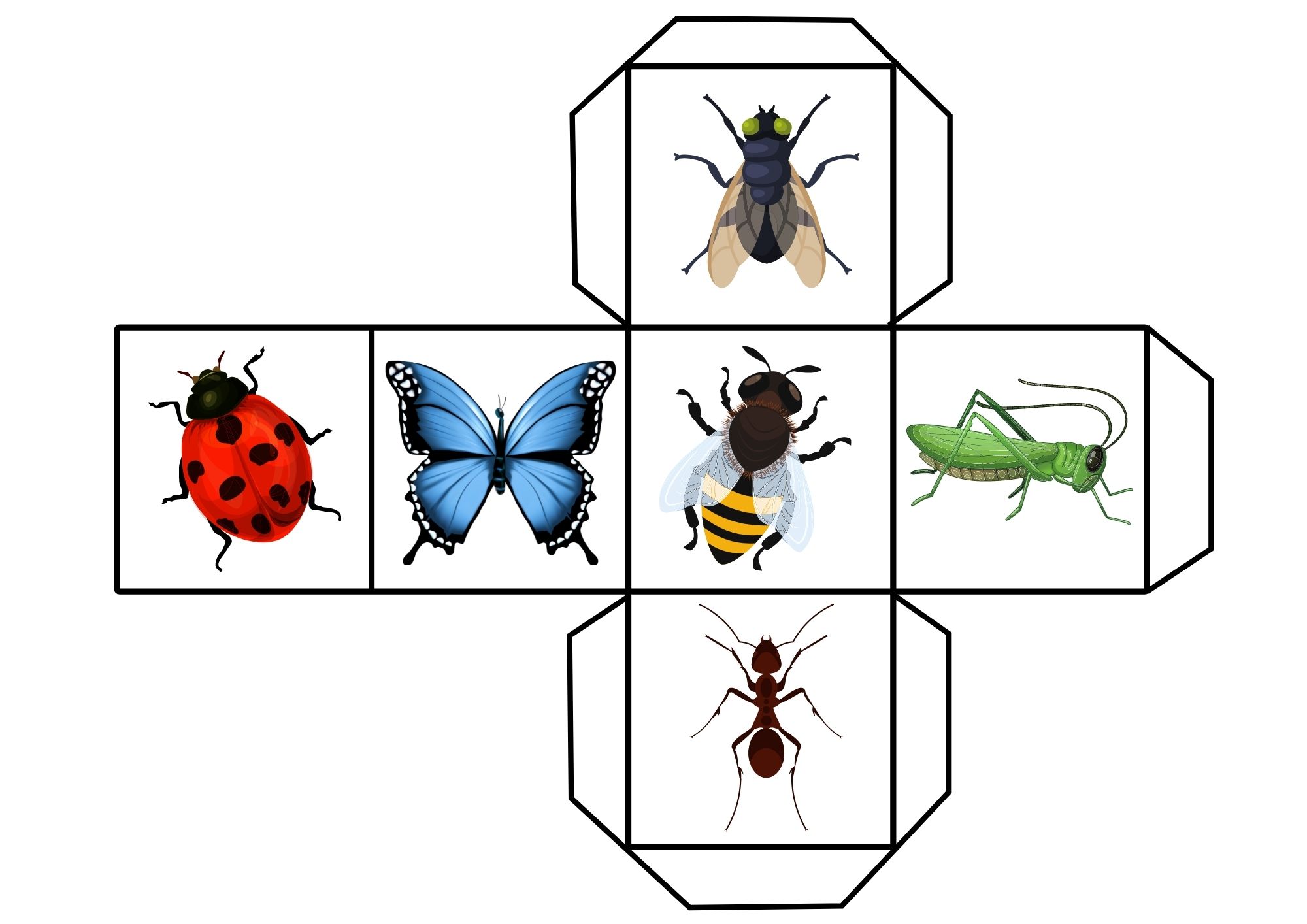 Insects Dice Game